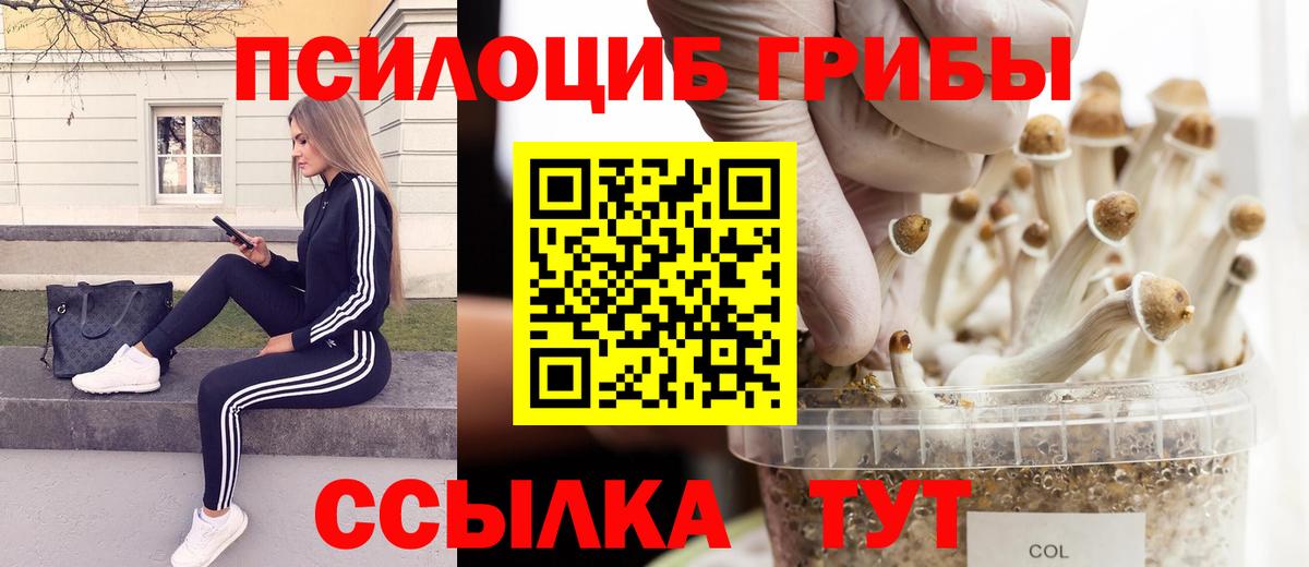 Апатиты  Галлюциногенные грибы мухоморы  Вход с VPN 